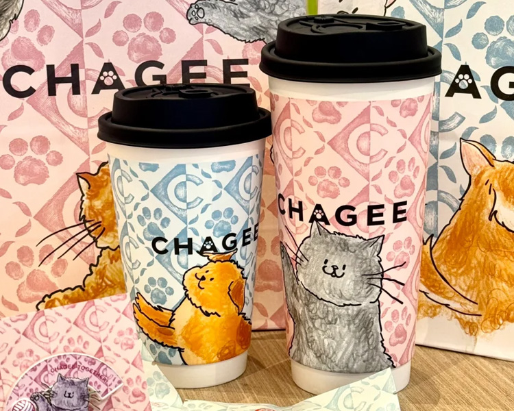霸王茶姬加盟费需要多少钱，县城可以开霸王茶姬加盟店吗