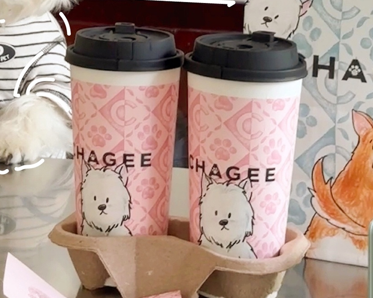 霸王茶姬三线城市加盟费多少钱，霸王茶姬开店需要什么条件
