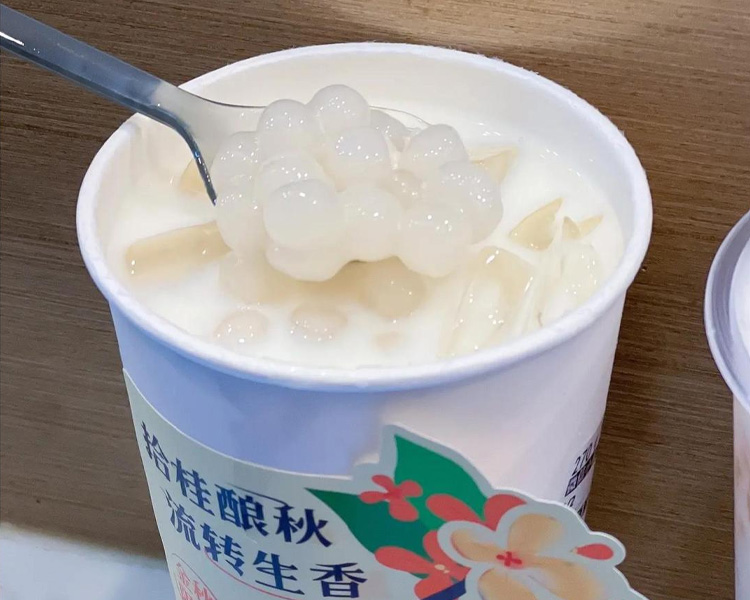 现在加盟一家古茗奶茶多少钱，古茗茶饮店加盟条件和标准